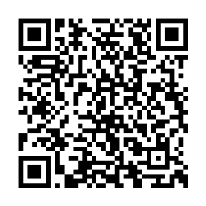直到叶尊感觉这四套剑法在他心中已经处于完美二维码生成