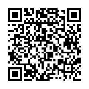 直到叶秋和梅子两人携手走到中间放着麦克风的位置二维码生成