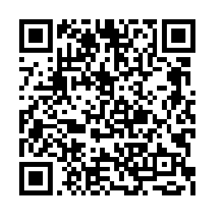 直到后来林若溪硕士直接辍学来到玉蕾接任总裁二维码生成