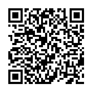 直到天已经蒙蒙亮的时候东方天几个人才慢慢的转醒二维码生成