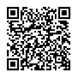 直到她们看到那个恐怖的男人直挺挺的倒在她们的面前二维码生成