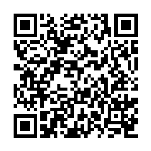 直到她在无界图书馆看到了关于茵赛斯虫的文章二维码生成