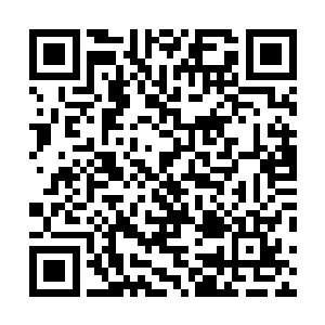 直到她将所有的触角都在罗宾川头上的各个穴位固定好后二维码生成