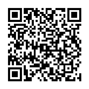 直到巨龙奥斯卡等人纷纷奉献出自己的一缕灵魂和精血二维码生成