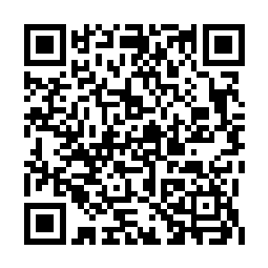 直到把高扬和李金方送出俄罗斯之后再回去就行二维码生成