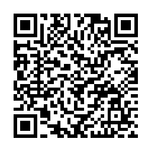 直到撞上身后一块飞来的乱石才堪堪借力掉落在地上二维码生成
