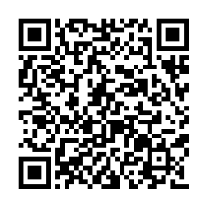 直到最后马里奥确认他是真不知道而不是不肯说二维码生成