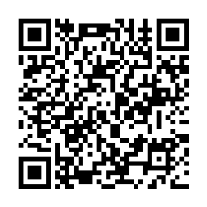 直到李兰芯办好了公费留学的申请他才得知……追着去机场二维码生成