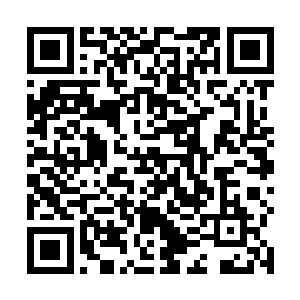 直到此时坐在后排座上的人才明白过來到底发生了什么二维码生成