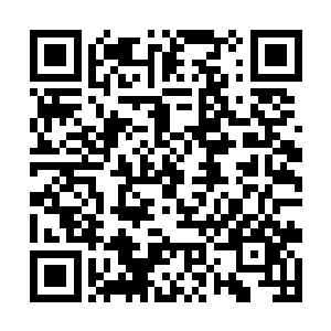 直到现在为止林烨为什么加入一里社的原因都不明了二维码生成