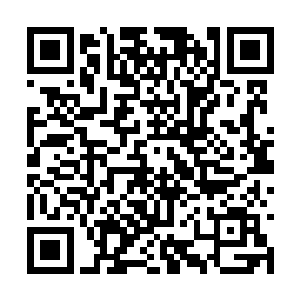 直到现在林辰都不知道可儿究竟是个什么样的存在二维码生成