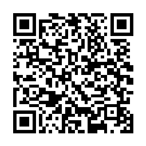 直到离推开车门从水底爬起来的时候还在霹雳啪啦的散落二维码生成