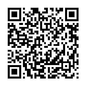 直到站在杨洛身边那些刑警发出哄笑声才明白过来二维码生成