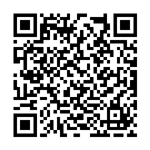 直到联邦议长丁铃铛也将刀锋般的目光射到他身上二维码生成