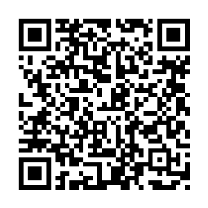 直到西格玛用机械手轻轻抓住了兄长的衬衣衣角二维码生成