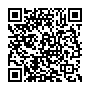 直到远远的先看见山体滑坡的半边山都没了植被二维码生成