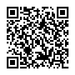 直到那两个中年蛇妖被禽皇还有青龙朱雀等人联手轰杀二维码生成