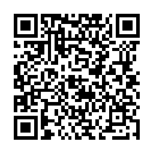 直到那天晚上我做梦到我们在我宿舍的楼顶一起看落日二维码生成
