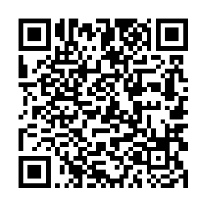 直到那头发乱蓬蓬的几乎可以跟鸟窝相媲美了才住手二维码生成