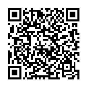 直到随行回来的龙堂弟子将大秦帝国发生的事情传开后二维码生成
