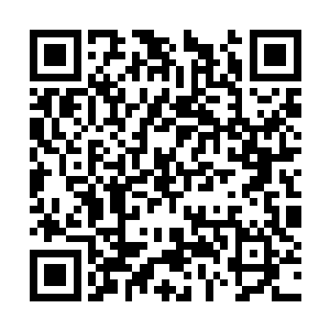 直到lcd四人在上路河道草丛里蹲了几秒钟没动以后二维码生成