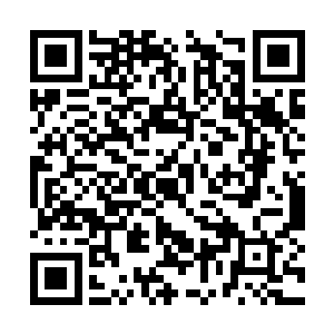 直升机的飞行员是一个欧洲某国的退役空军飞行员二维码生成