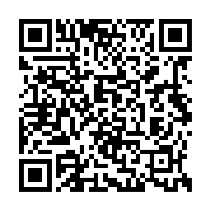 直向躺在雪地里白小飞和他背上的人参娃娃扑来二维码生成