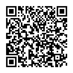 直奔着那边的比尔过去了……噗噗噗~~比尔看着那突然飞过来的黑影二维码生成