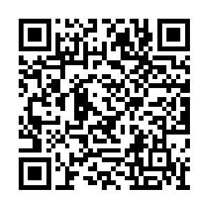 直属四阀本家的战队对相互之间的情况都很了解二维码生成