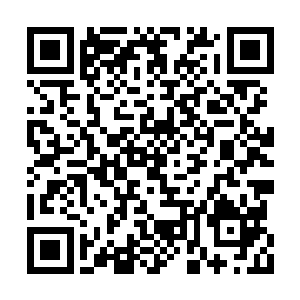 直径五六米的大圆桌中心摆着一大捧怒放的鲜花二维码生成