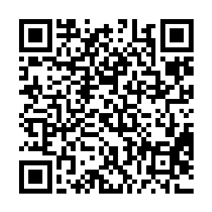 直径超过了十米的大坑出现在了孙子轩刚刚站立的地方二维码生成