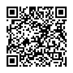 直径超过四十米的巨口中猛然传出一股不可抗拒的吸力二维码生成