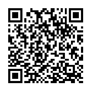 直径足有近万米的陨石在这一刻没有了后续能量维持二维码生成