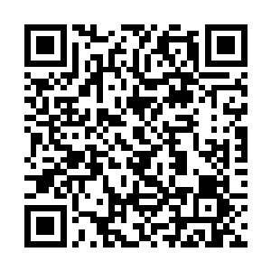 直愣愣的看着那把轻轻的触碰在刀疤男子咽喉的长剑二维码生成
