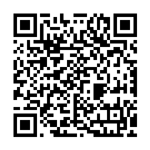 直扑神秘人身上的这一处弱点了……尽管那里的肉都有些发臭了二维码生成