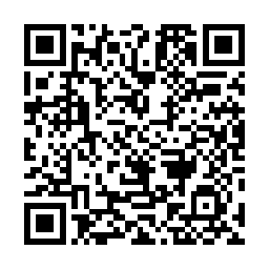 直把曾涵薇夸得信心满满恨不得就此拿着纸笔去考大学去二维码生成