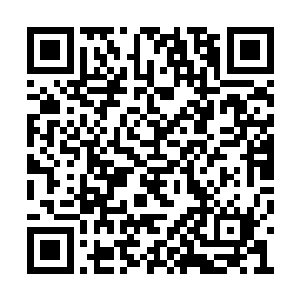 直接从伤口处对破损地方进行缝合也不是不可能二维码生成