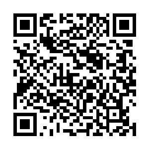 直接从储物戒指中取出了十块上品灵石递给了中年男修二维码生成