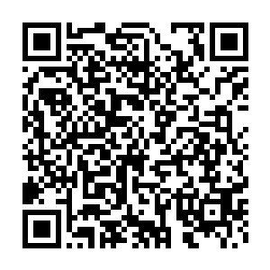 直接从储物戒里取出一根柱子丢过来――据说三才柱挡得住这一棍二维码生成