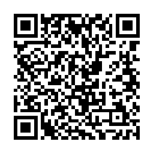 直接从太虚宗秘境中那个宝塔中抓出了两团丹妖之气二维码生成