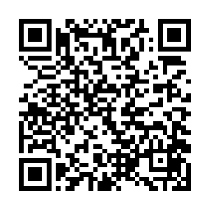 直接从树上就会掉下各种富含淀粉和营养物质的果实二维码生成