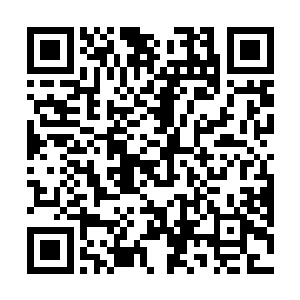 直接从身后的背包里掏出了一把浸过符水和朱砂的糯米二维码生成