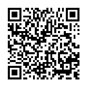 直接以惊人的速度穿越了整整近百公里的平原地带二维码生成
