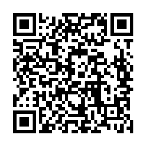 直接便让躲在一边的刘大少只感觉到浑身的血都冻起来了二维码生成