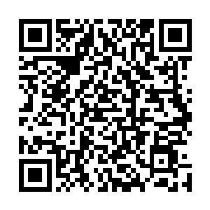 直接兑子了零号舰……那家伙根本不知道零号舰的长远利益二维码生成