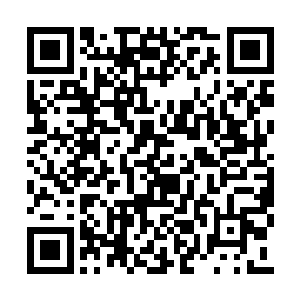 直接再一次迎上了虚空之中的恐怖的黑色的巨手二维码生成