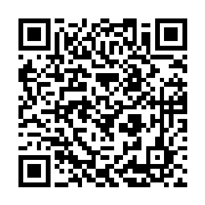 直接冲过去从后面狠狠的用木棍砸了几个男生的脑袋二维码生成