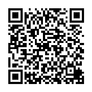 直接化作一道漩涡朝着虚空之中的焚天圣莲里面狂涌而去二维码生成