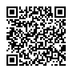 直接双刀劈砍了出去……这一回不是冲着伤敌而去的二维码生成