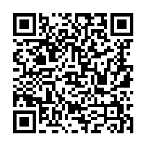 直接变成每月领取国家补助六斗粮的一等禀膳生员二维码生成